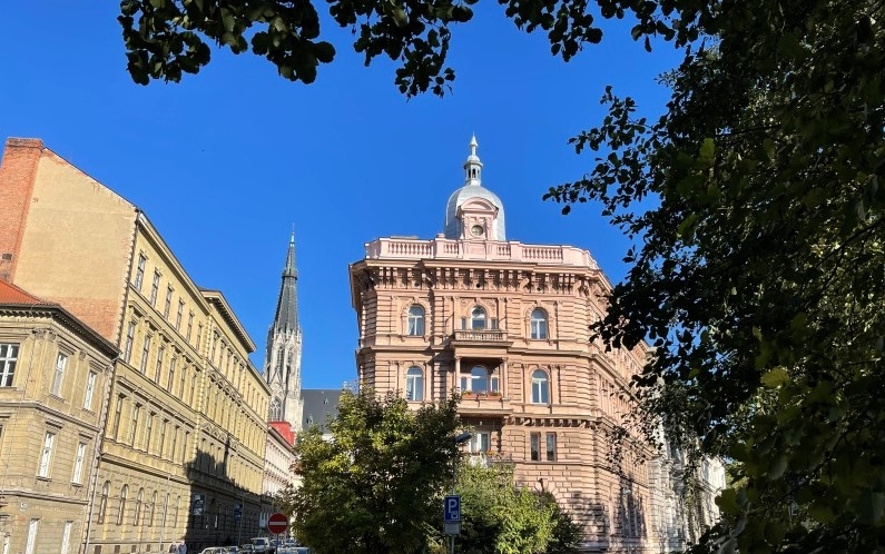 Jak přestali chroustat brouci ve věžičce v Olomouci Jak přestali chroustat brouci ve věžičce v Olomouci
