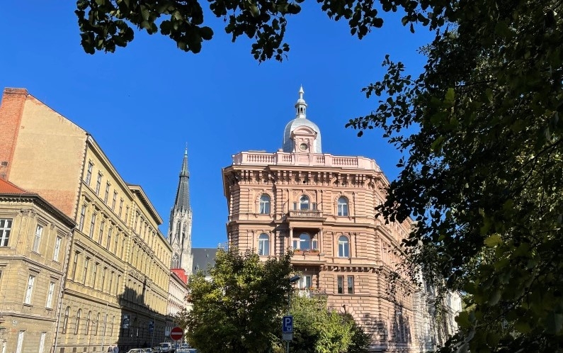 Jak přestali chroustat brouci ve věžičce v Olomouci