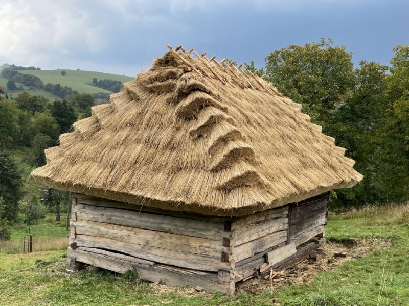 Byl odsouzen k zániku, teď je hvězdou seníků Byl odsouzen k zániku, teď je hvězdou seníků
