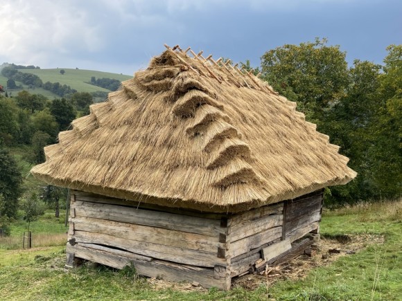 Byl odsouzen k zániku, teď je hvězdou seníků Byl odsouzen k zániku, teď je hvězdou seníků