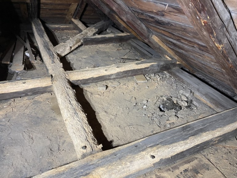 Destrukční působení dřevokazného hmyzu