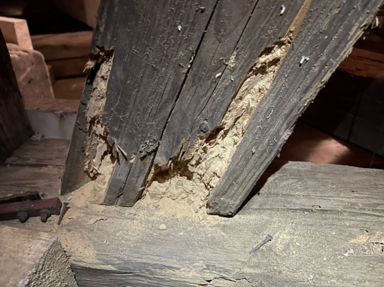 Dřevěné konstrukce věžní báně jsou poškozené dřevokazným hmyzem.